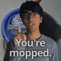 Slang Mop GIF