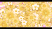 Flora GIF by Winx Club