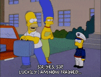 homer simpson episode 25 GIF