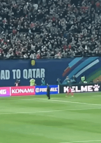 qwerpoiu22ppop giphyupload GIF