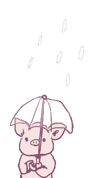 Rain Pig Sticker