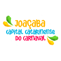 Liesjho Sticker by Carnaval Joaçaba