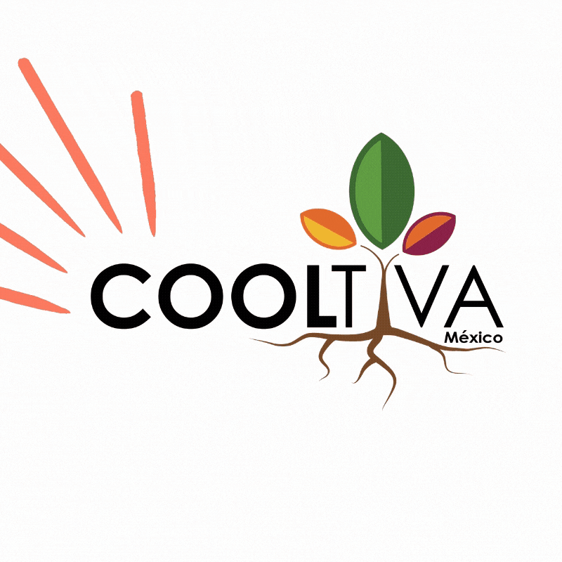 Cooltivamx giphyupload agricultura cdmx organico GIF