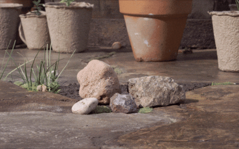 tweedyandfluff giphyupload cute friends sweet GIF