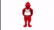 GIF by SUNY Oneonta
