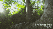 bbc one GIF by BBC
