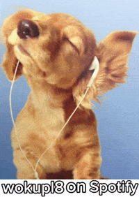 Vibing Golden Retriever GIF