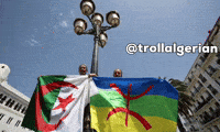 North Africa Algeria GIF