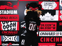 Football Bearcat GIF by Cincinnati Bearcats