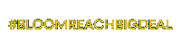 Big Deal Marketing Sticker by Bloomreach