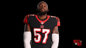 Cincinnati Bengals Football GIF by Bengals