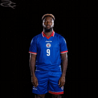 Fifa World Cup Haiti GIF by Respective