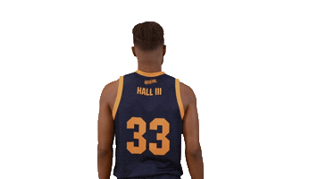 Sport Basketball Sticker by Basket_fi