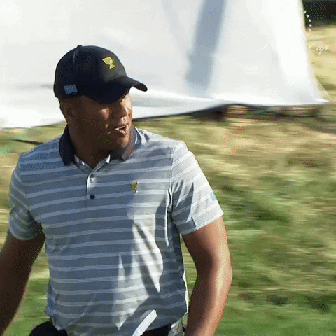 ThePresidentsCup giphyupload celebration vegas presidents cup GIF