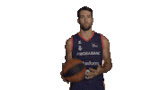 Liga Endesa Basketball Sticker by ACB