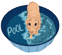 Dog Pool Sticker by Bastian the Talking Terrier