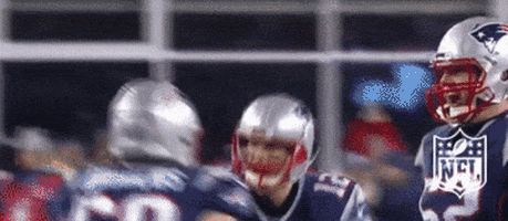 Celebrate New England Patriots GIF by NFL