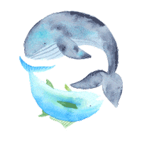 mr-and-mrs-panda fish spin spinning whale Sticker