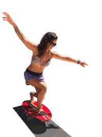 Balanceboard Evb Sticker by Evolution Board