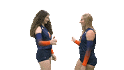 Cnvb Sticker by Carson-Newman Athletics