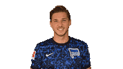 Niklas Stark Facepalm Sticker by Hertha BSC