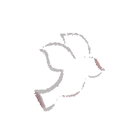 American Idol Sticker Sticker by Atlantic Records