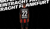 Lets Go Bundesliga GIF by Eintracht Frankfurt