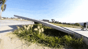 Dogs Skateboarding GIF by jOnNy'S wOrLd