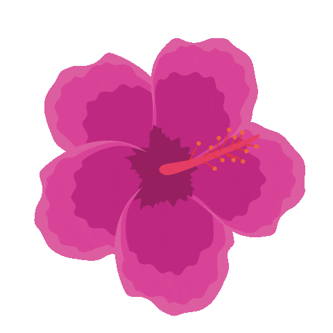 Amapola Sticker by VoyTuristeando