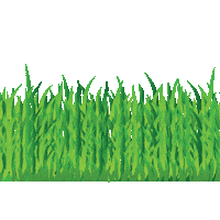 Agro Biologicos Sticker by elcabureinsumos