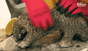 Pet Colour GIF by The Great Pottery Throw Down