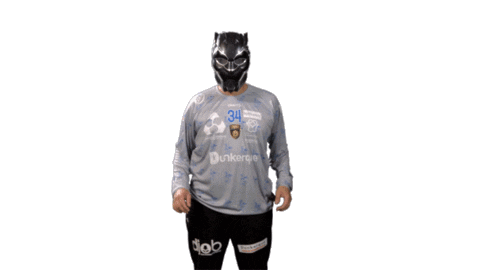 Handball Dunkerque Sticker by USDK