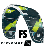 Kite Fs Sticker by Nicekite