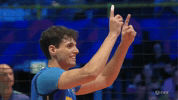 Volleyball No GIF