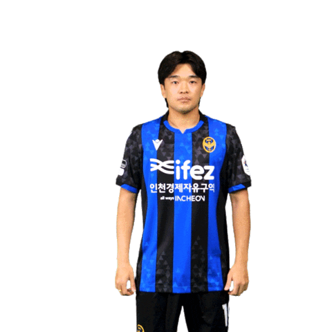 Football Soccer Sticker by Incheon United FC