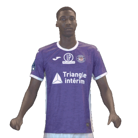 Soccer Stadium Sticker by Toulouse Football Club
