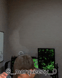 Lebron James W GIF