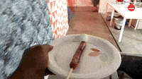 Travelling Hotdog