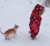Video gif. Cat walks intently behind a child in a snowsuit, then jumps abruptly on the toddler's back, toppling them over in the snow.