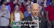 Joe Biden GIF by GIPHY News
