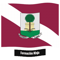 Pais Vasco Flag Sticker by Formación Ninja