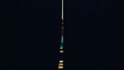 Aafb GIF by DUCKWRTH