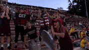 LafayetteLeopards fans lafayette leopards roll pards GIF