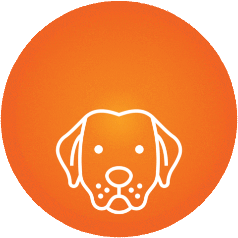 Dogs Puppy Sticker by Montego Pet Nutrition