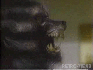 the howling horror movies GIF by RETRO-FIEND