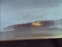 nickrewind nicksplat are you afraid of the dark the tale of station 109.1 GIF