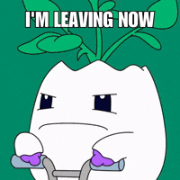 Disappointed No Way GIF by Magic Eden