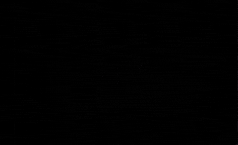 CoachPink giphygifmaker mba GIF