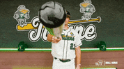 College Baseball Frankie GIF by GreenWave