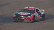 Nascar Racing Sport GIF by NASCAR